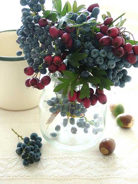 berries in bouquets